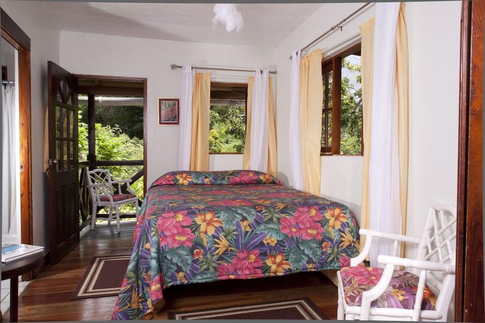 Forres Park Hotel Kingston Ngoại thất bức ảnh
